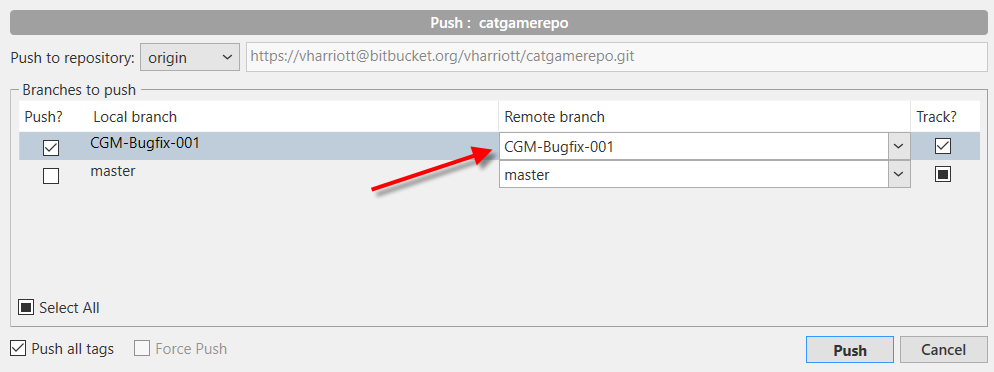 SourceTree-PushCatgameRepoBranchToRemote-Screen