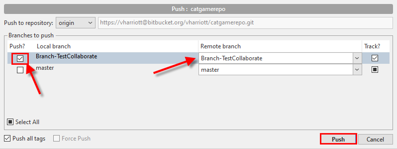 SourceTree-PushNewLocalBranchToRemote